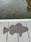 Rusted Metal Rockfish (Right Facing)